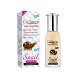 ديسار كريم الاساس بالحلزون